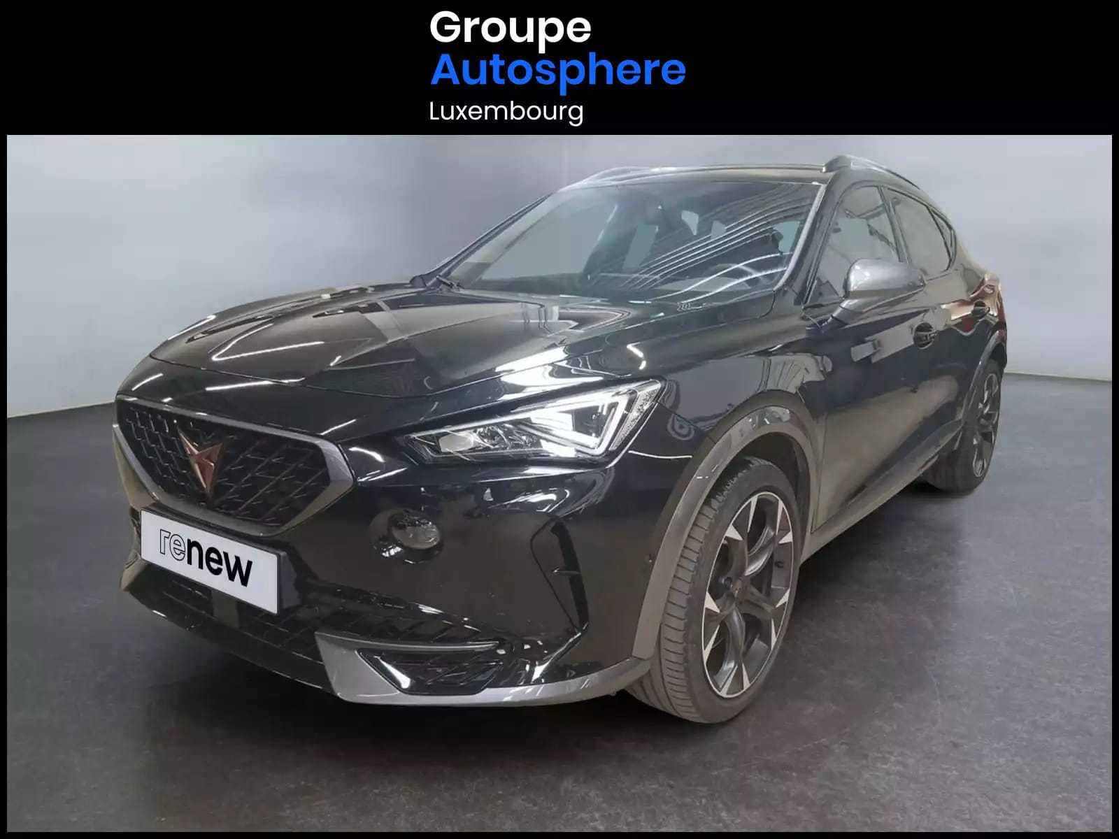 Cupra Formentor 2.0 TSI 4DRIVE VZ DSG - Photo 1