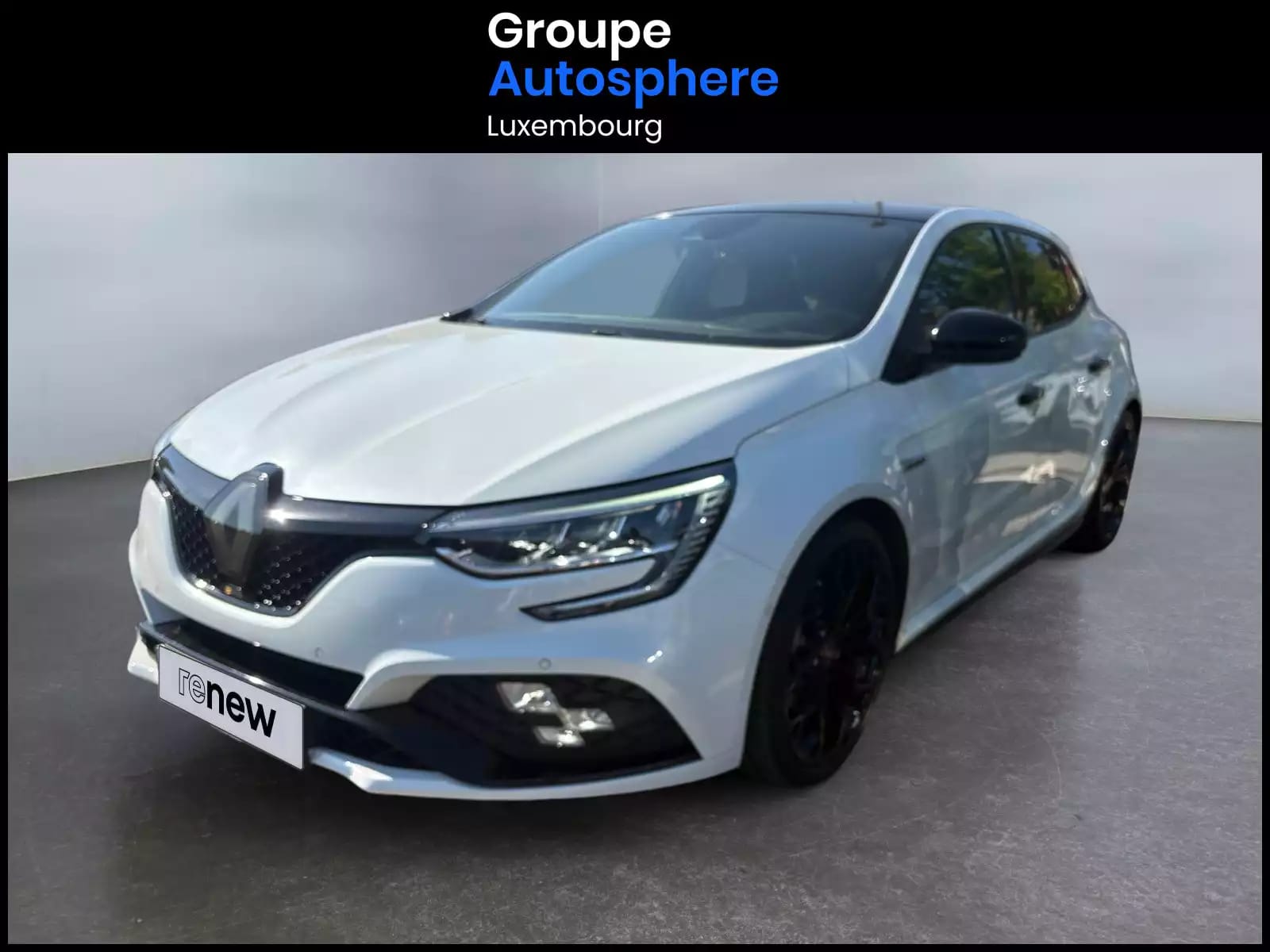 Renault Megane 1.8 TCe R.S. 300 EDC - Photo 1