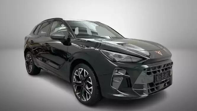 Cupra Terramar VZ 2.0 TSI 265cv PANO/ATTELAGE/CAM360 - Photo 1