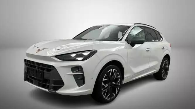 Cupra Terramar VZ 2.0 TSI 265cv 4x4 PANO/ATTELAGE/CAM360 - Photo 1