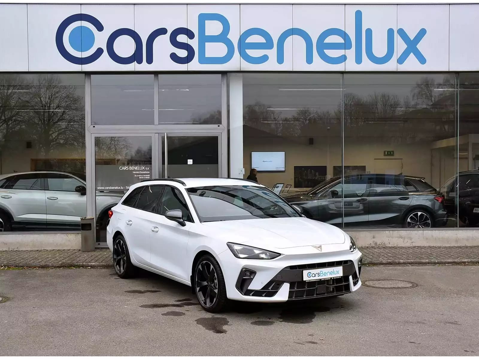 Cupra Leon ST 1.5 eTSI DSG ACC LANE SG CHFF CAM NEUVE - Photo 1