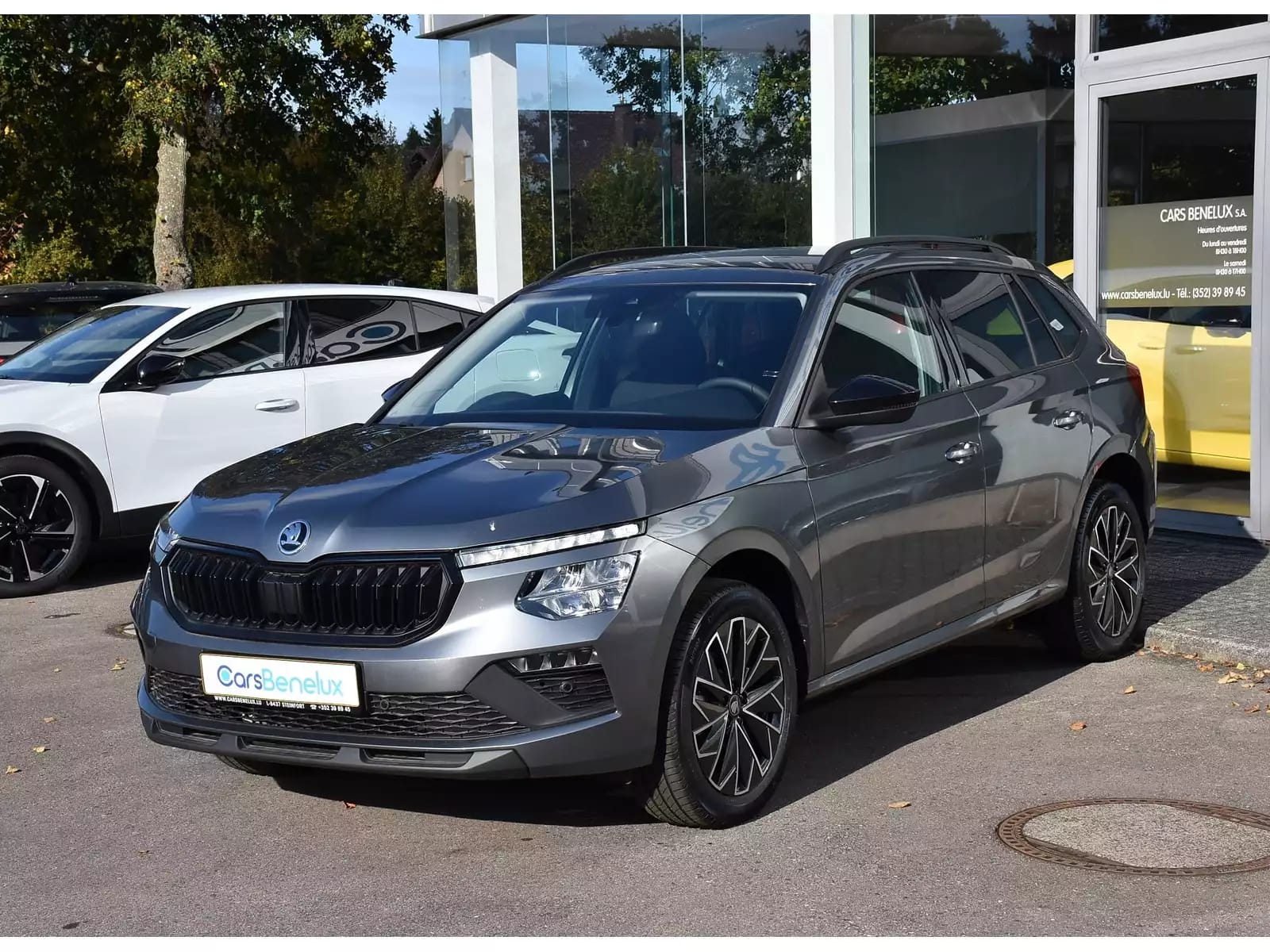 Skoda Kamiq 1.0 TSI 116 DSG Selection - Photo 1