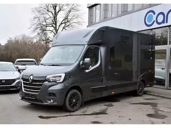 Renault Master Theault 2.3 DCI 5 Pl. 1° MAIN - Photo 2