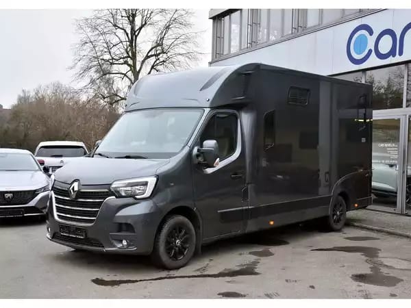 Renault Master Theault 2.3 DCI 5 Pl. 1° MAIN - Photo 2