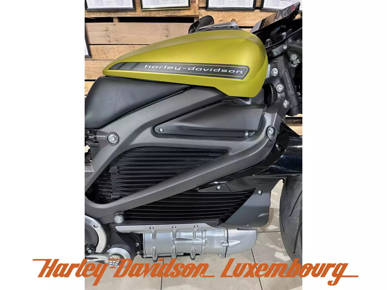 Harley-Davidson LiveWire - Photo 1