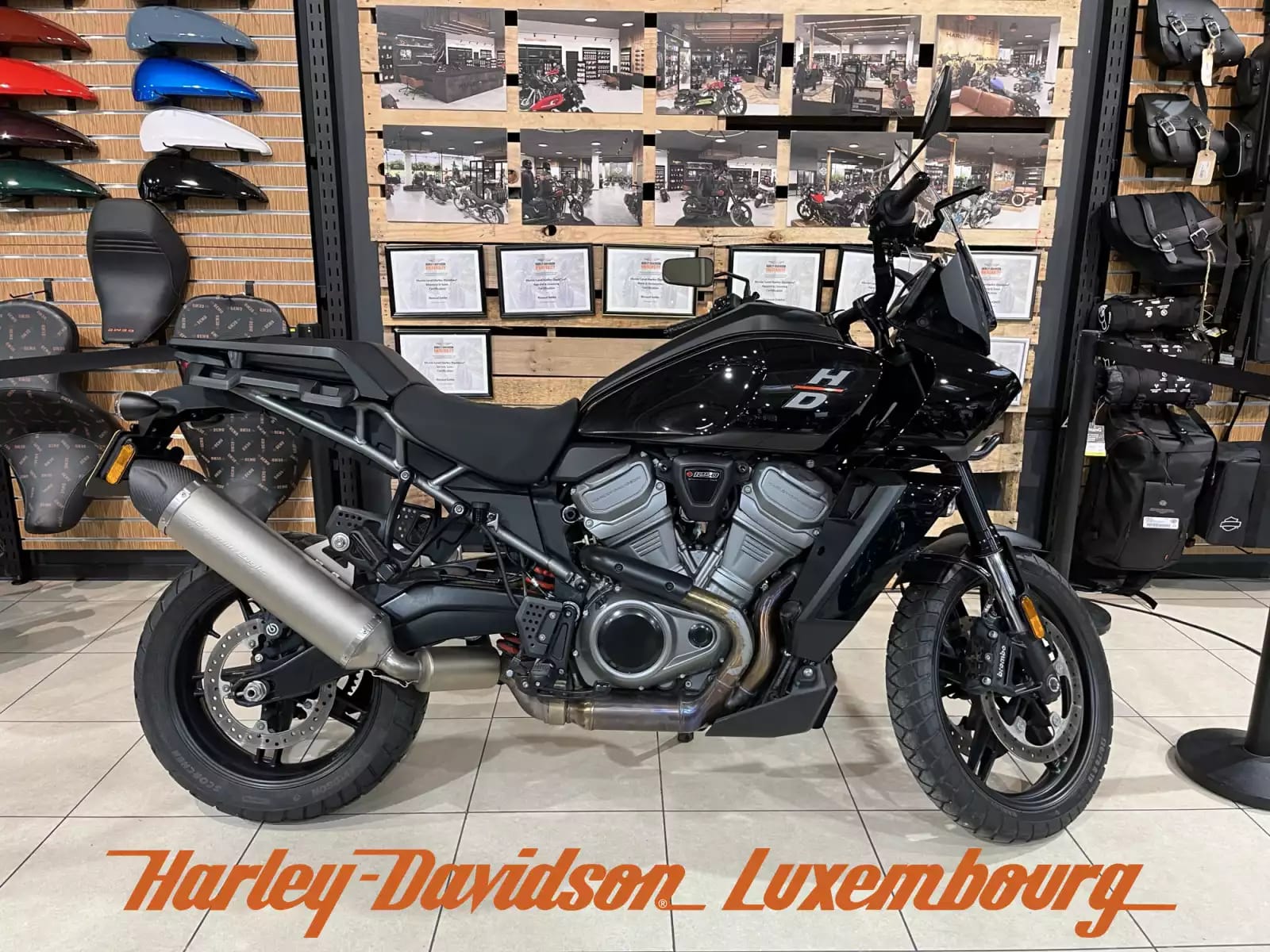 Harley-Davidson Pan America - Photo 1