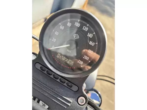 Harley-Davidson Sportster 883 - Photo 3