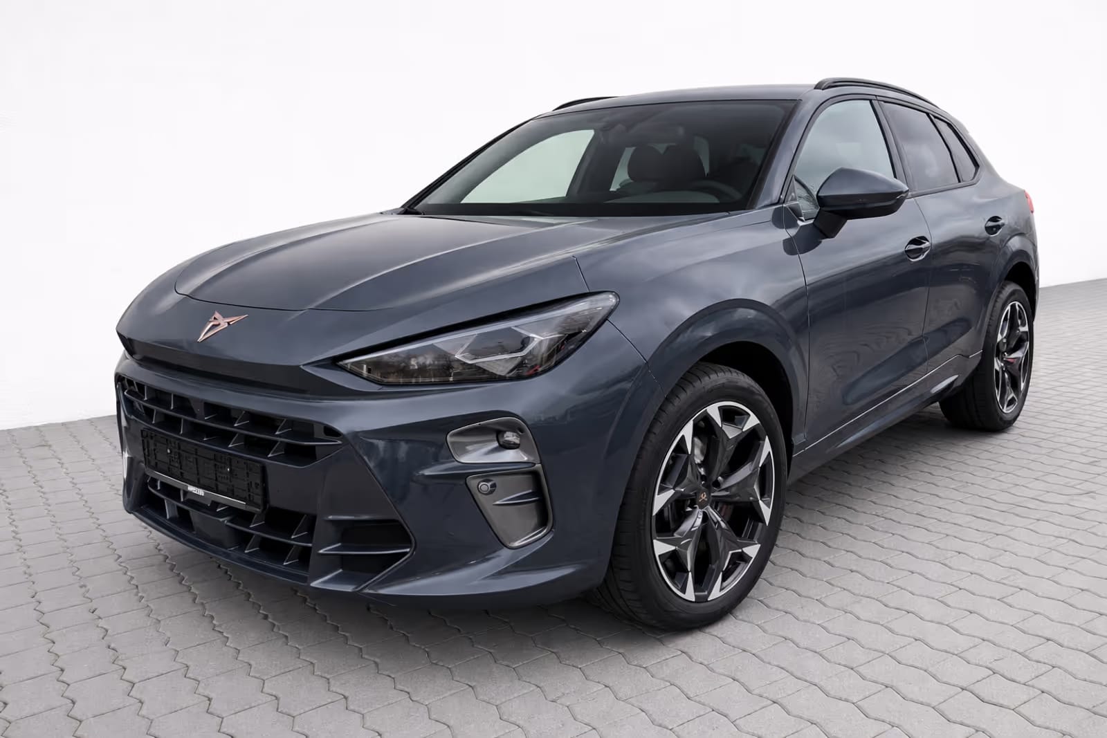 Cupra Terramar vz - Photo 1