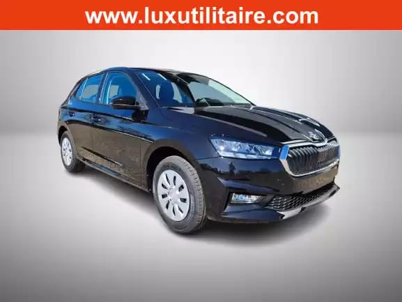 Skoda Fabia 1.0 TSi 95 Selection - Photo 1