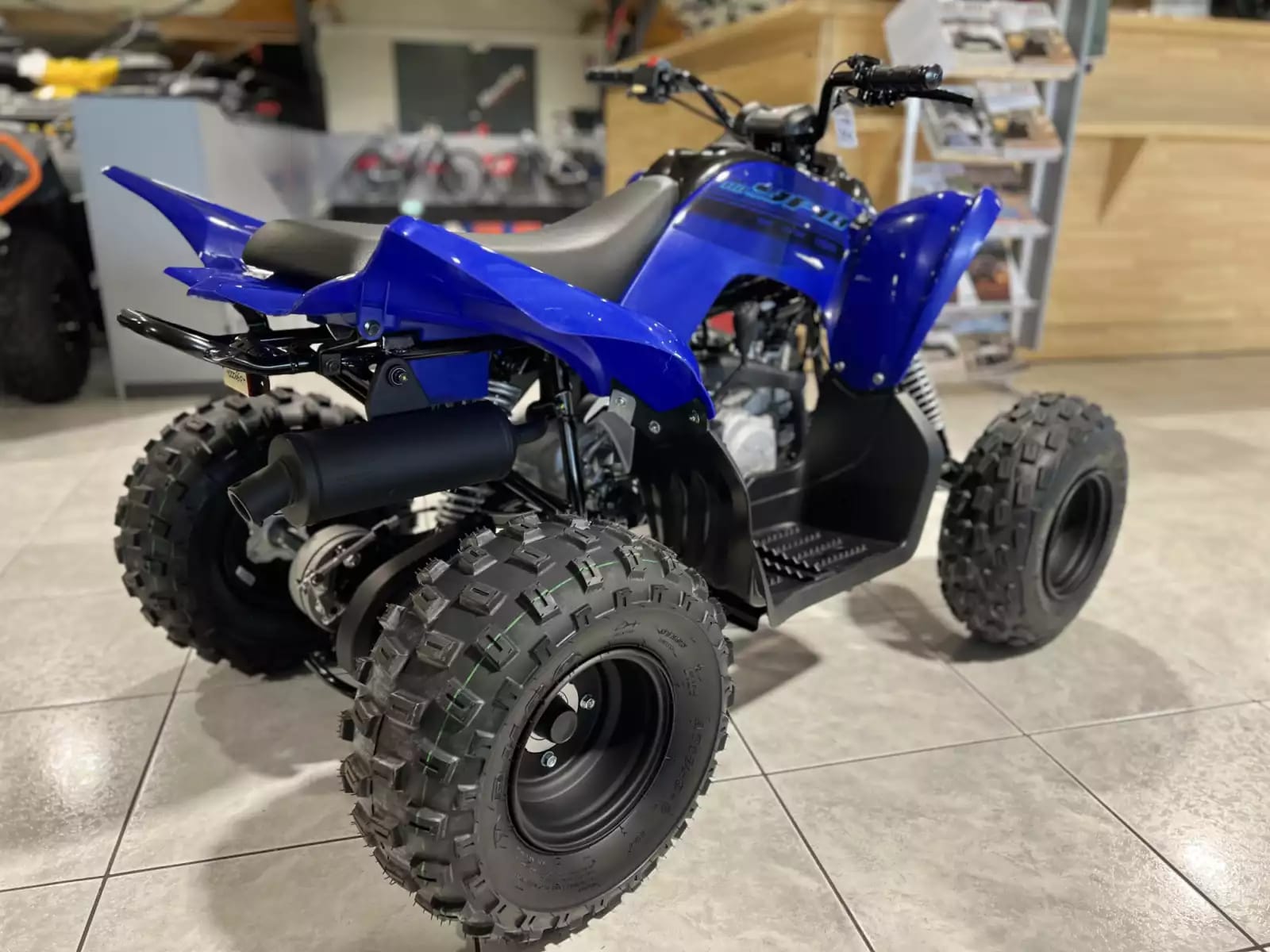 Yamaha YFM 110 R - Photo 1