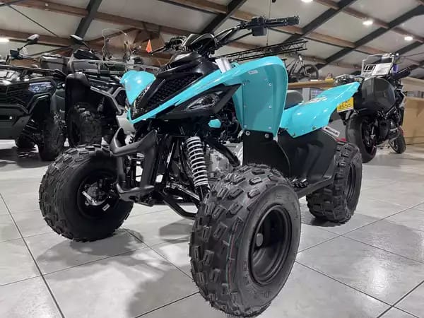 Yamaha YFM 110 R - Photo 2