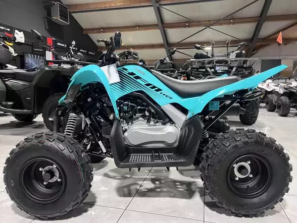 Yamaha YFM 110 R - Photo 3