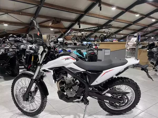 Beta Alp 4.0 - Photo 3