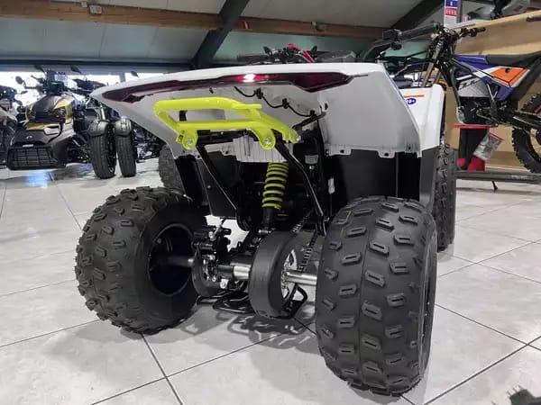 CF Moto CForce EV 110 - Photo 2