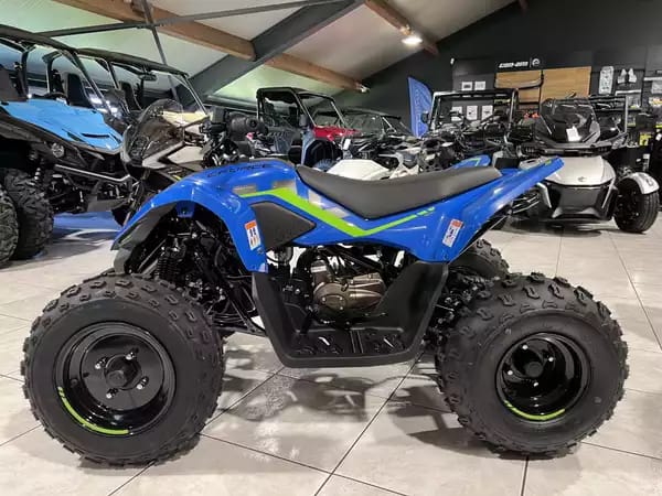 CF Moto CFORCE 110 - Photo 3