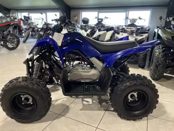 Yamaha YFM 110 R - Photo 3