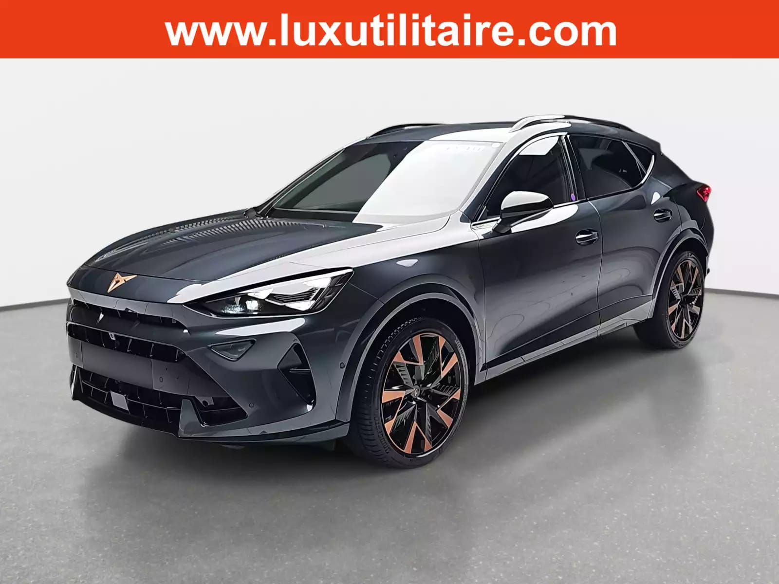 Cupra Formentor 2.0 TSi DSG 333 4DRIVE - Photo 1