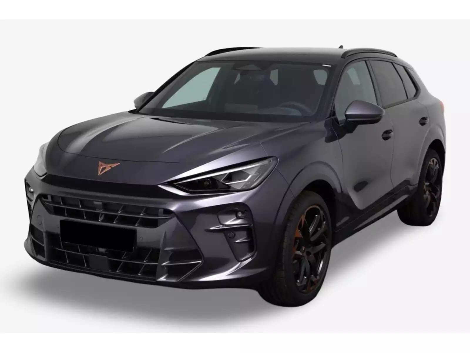 Cupra Formentor 2.0 TSI VZ 333 DSG 4 Drive - Photo 1