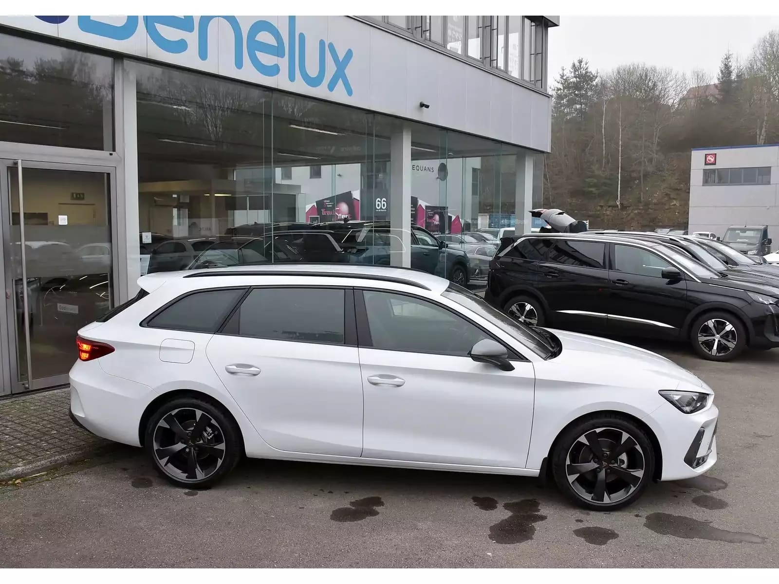 Cupra Leon ST 1.5 eTSI DSG ACC LANE SG CHFF CAM NEUVE - Photo 1