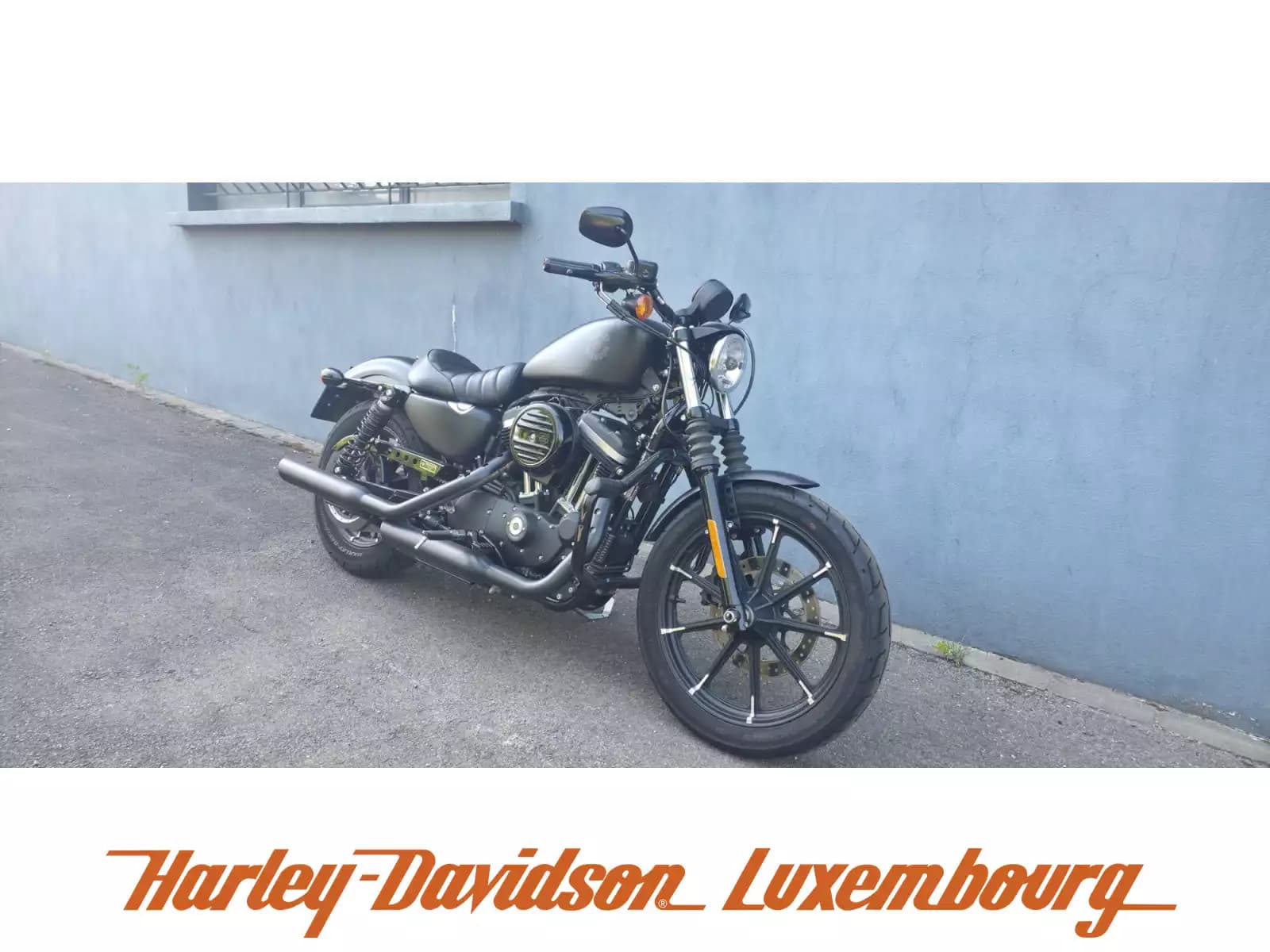 Harley-Davidson Sportster 883 - Photo 1